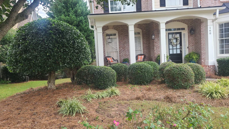 Blog A&A MultiScapes and Tree Service