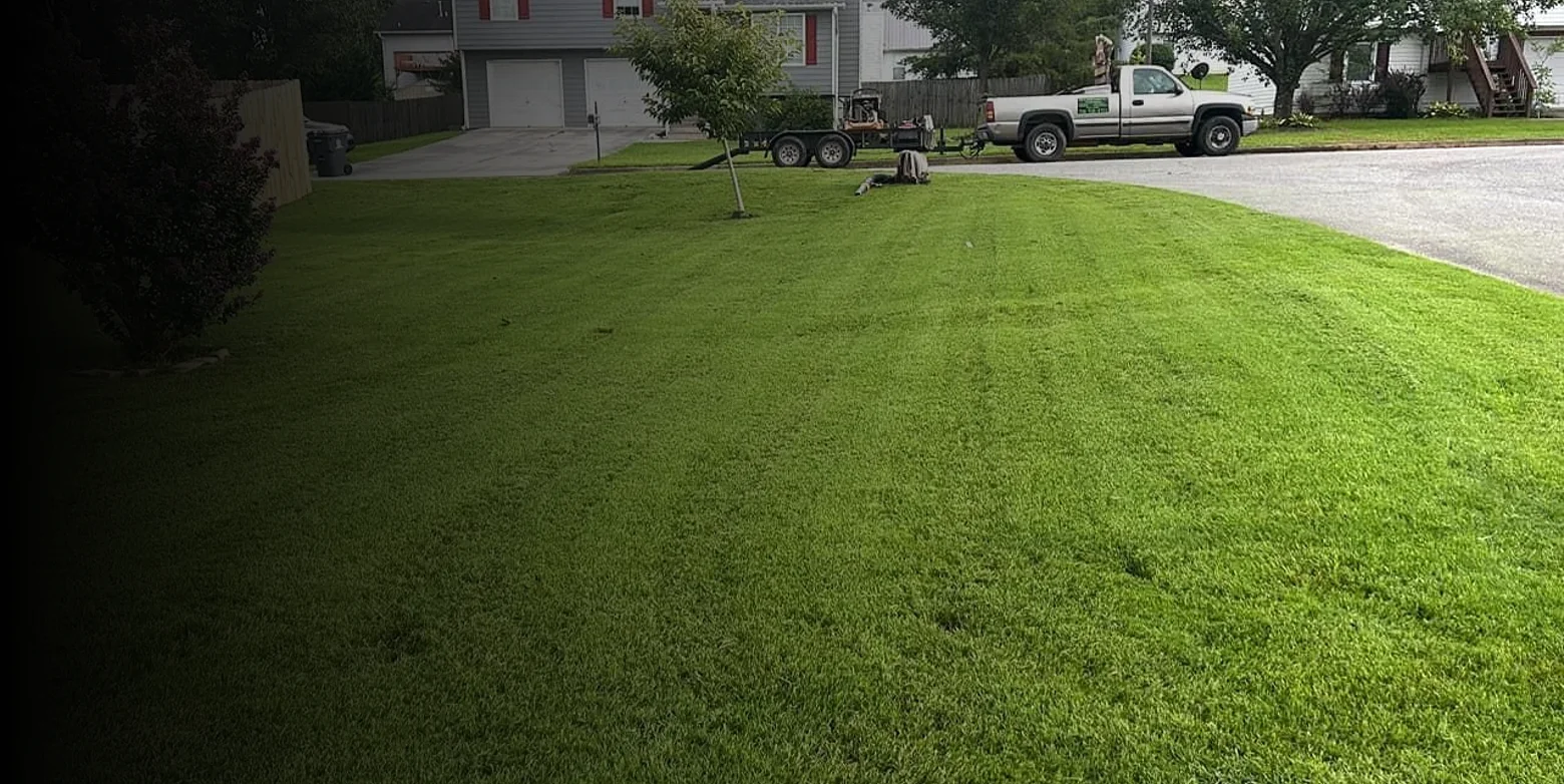 a&a multiscapes Hero